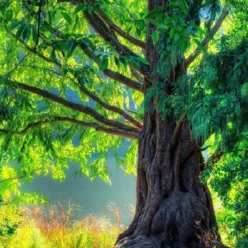  شلش کن بابا مگه چقد زنده ایم کلا بریز بریم بالا من عاشق لیوانای گندم